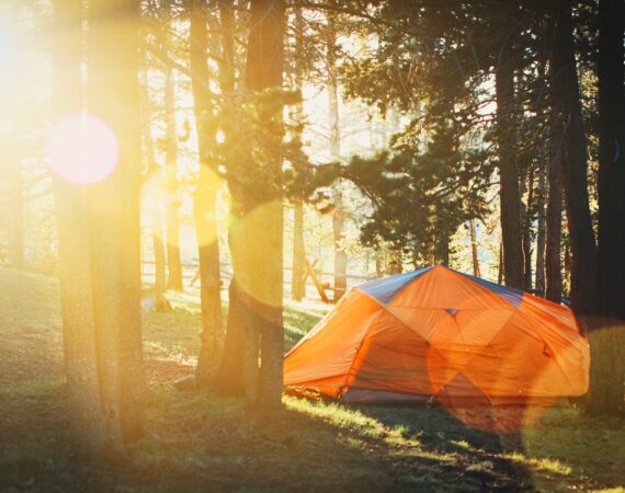 Sol skinner ind igennem skov på telt